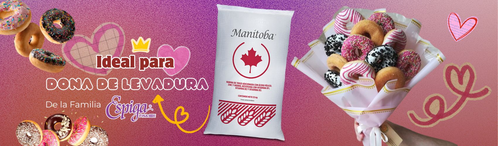 banner web enero2.jpg